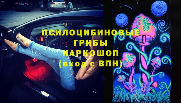 шишки Абдулино