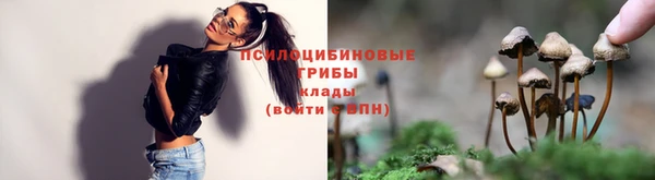 стаф Алексеевка